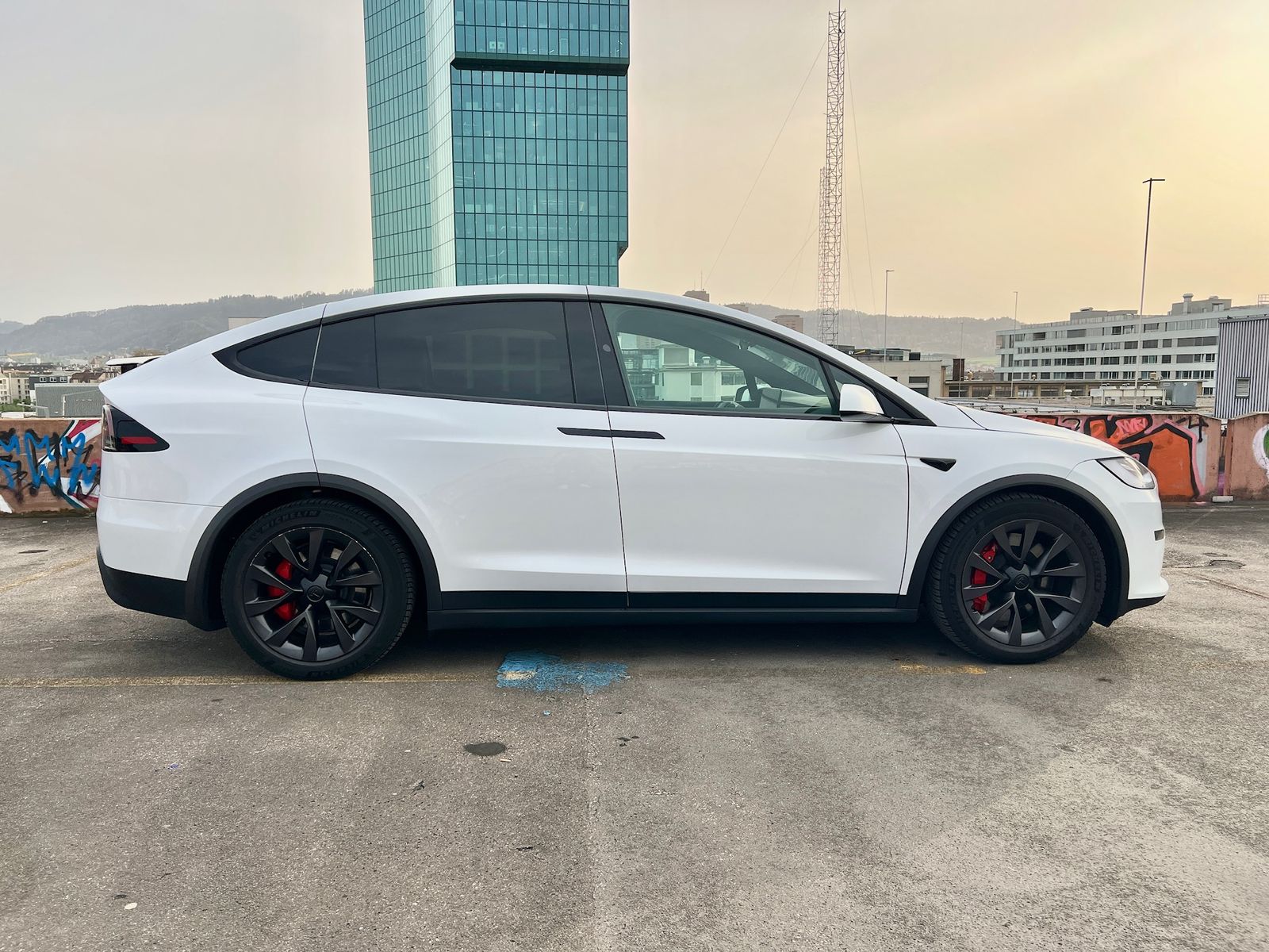 Tesla Model X Plaid Tiger